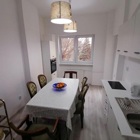 Central Appartment - Heart Of Bucharest - Sector 1 - New Renovated - Open Space المظهر الخارجي الصورة