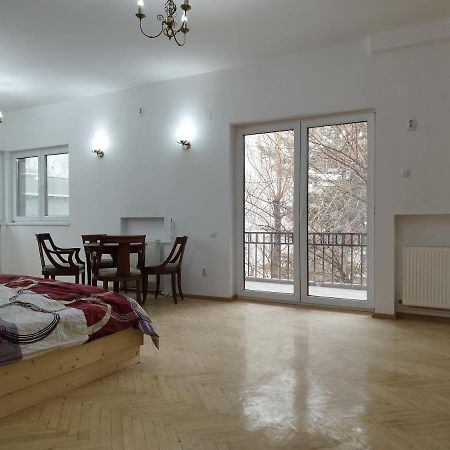 Central Appartment - Heart Of Bucharest - Sector 1 - New Renovated - Open Space المظهر الخارجي الصورة