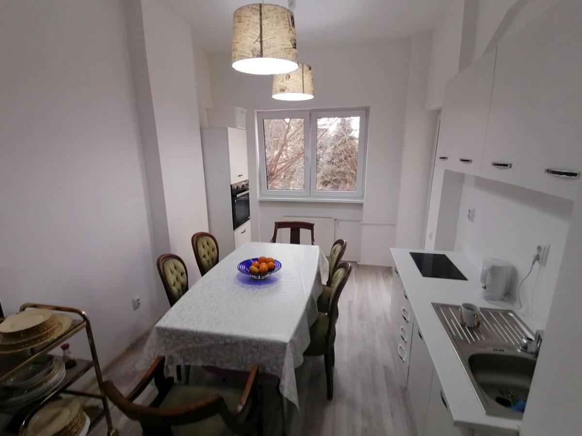 Central Appartment - Heart Of Bucharest - Sector 1 - New Renovated - Open Space المظهر الخارجي الصورة