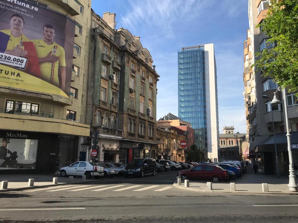 Central Appartment - Heart Of Bucharest - Sector 1 - New Renovated - Open Space المظهر الخارجي الصورة