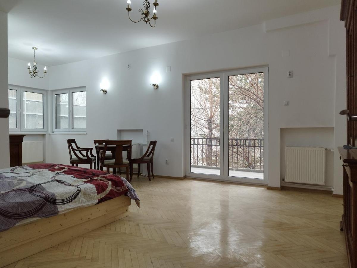 Central Appartment - Heart Of Bucharest - Sector 1 - New Renovated - Open Space المظهر الخارجي الصورة