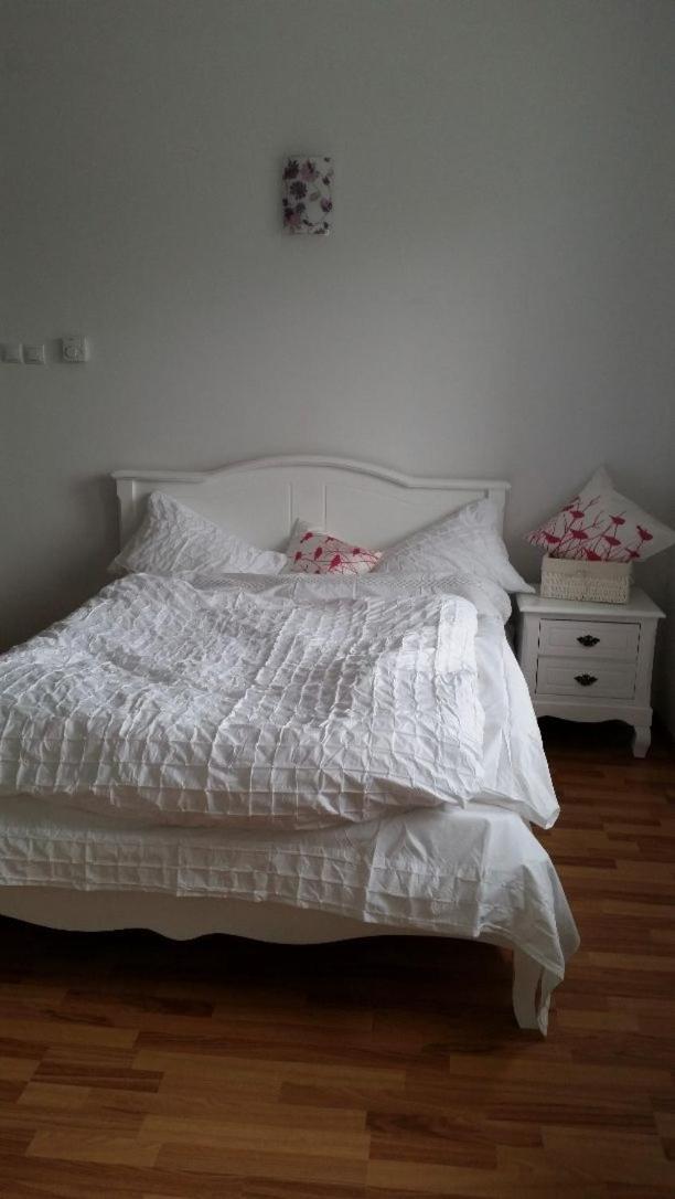 Central Appartment - Heart Of Bucharest - Sector 1 - New Renovated - Open Space المظهر الخارجي الصورة